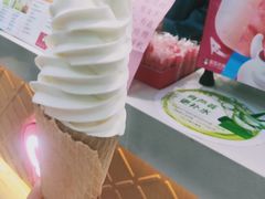 -蜜雪冰城(托乐嘉店)