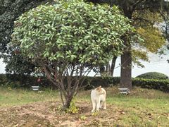 -云龙湖旅游景区