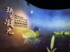 -上海博物馆(人民广场馆)