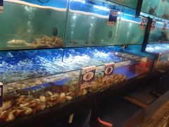 水产区-南海渔家•海鲜•正宗海南菜(海棠湾店)