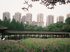 -龙头寺公园