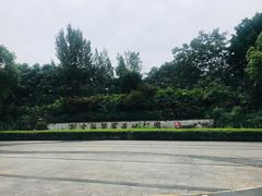 -重庆彩云湖湿地公园