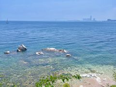 -养马岛旅游度假区