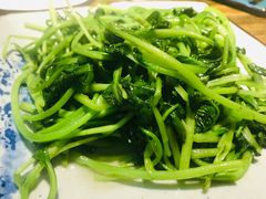 清炒鸡毛菜-左陕右甘(亚运村店)