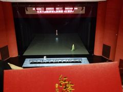 -合肥大剧院