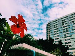 -彩虹村