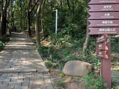 -苏州上方山国家森林公园