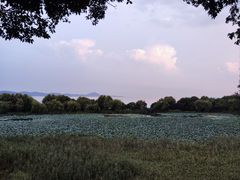 -上海市保健医疗中心