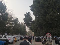 -保定市动物园