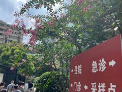 -复旦大学附属华山医院(总院)