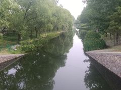 -大望京公园