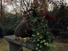 -杭州植物园