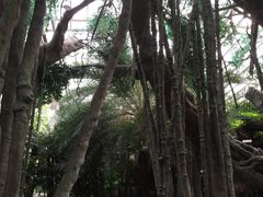 -龙达温泉生态城