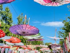 -野鸭湖国家湿地公园