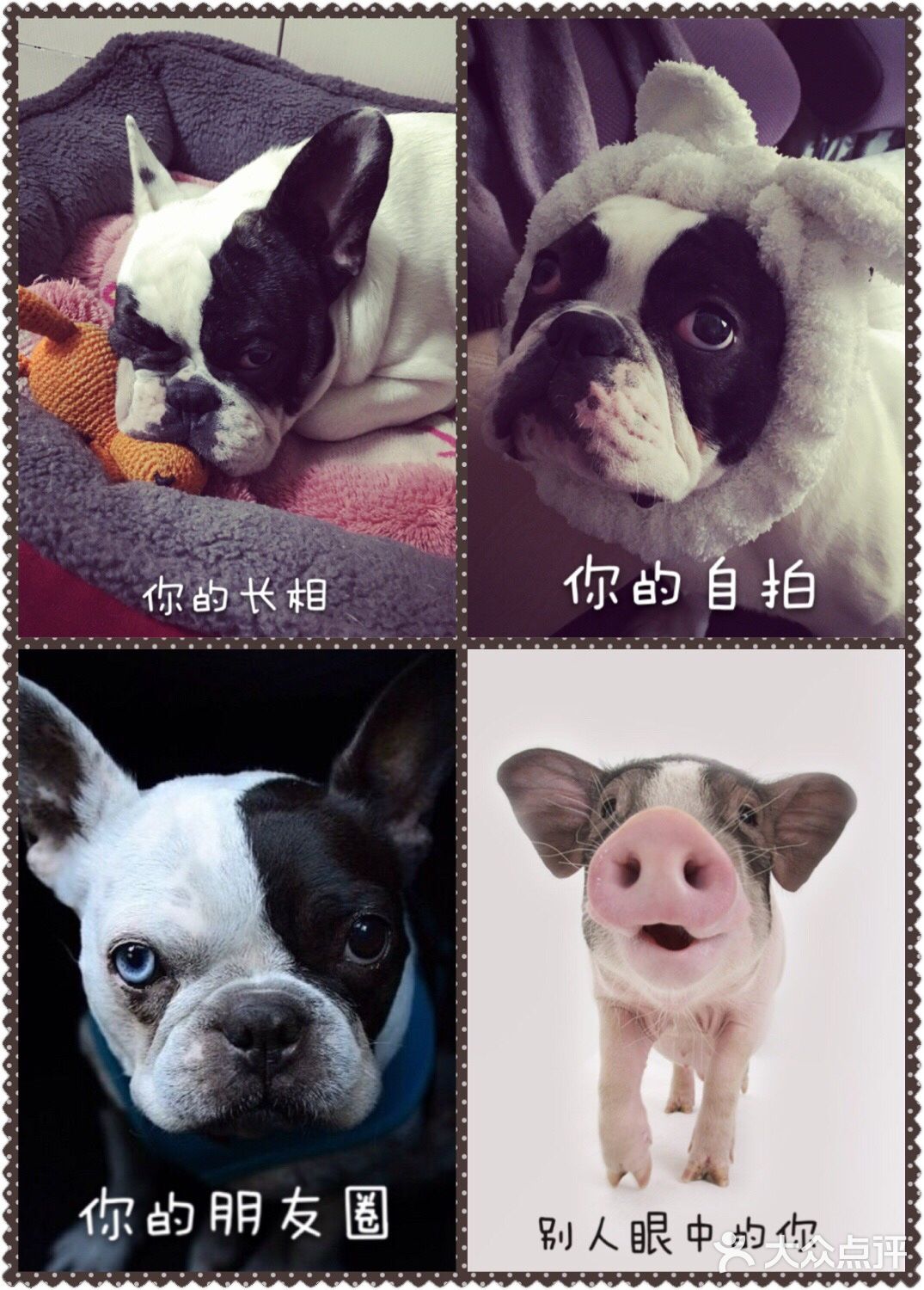 那么好吃的东西我居然不爱吃！我来了个去的