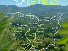 -呀诺达热带雨林