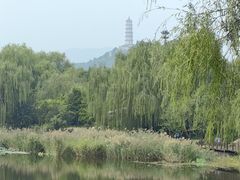 -北坞公园