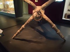 -上海中国航海博物馆