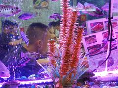 -新辉港式茶餐厅(北栅店)