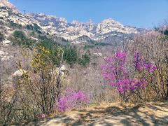 -崂山巨峰游览区