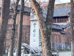-灵谷景区