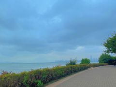 -深圳湾公园(南山区)