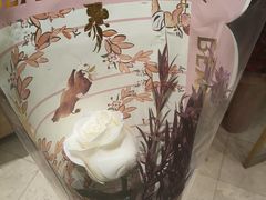 -BEAST野兽派(上海浦东嘉里城店)