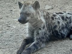 -南京金牛湖风景区