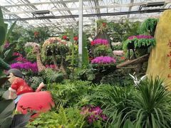 -兰陵国家农业公园