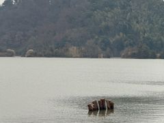 -池州市平天湖风景区