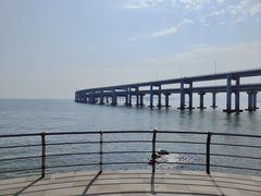 -星海湾跨海大桥