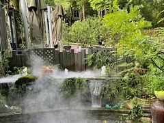 -野蔓果·山野菜(西湖景区·龙井茶田店)