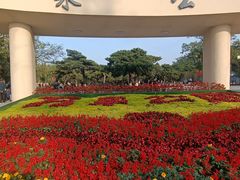 -万泉公园