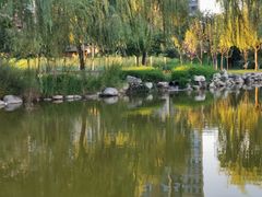 -木塔寺遗址生态公园