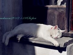 DSC_0049_副本-小雅青年旅舍(平江路店)