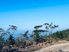 -四明山国家森林公园