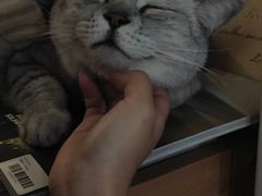 -隅cafe(傅厚岗店)