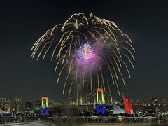 -台场海滨公园船码头