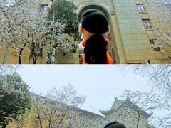 -武汉大学-樱园