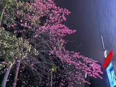 -新梦百货(民族店)