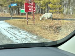 -北极村旅游风景区