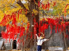 -青岛崂山太清宫