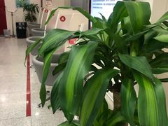 -招商银行(北京清华园科技金融支行)