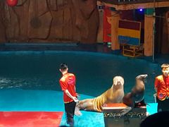 -烟台海昌鲸鲨海洋公园