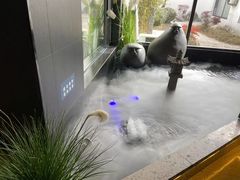 -渝乡辣婆婆·川菜 水煮鱼(安平店)