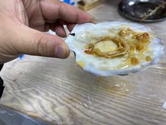 -爱蚝屋