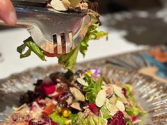 -一棵树·意大利西餐厅One Tree(新城店)