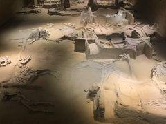 -洛阳周王城天子驾六博物馆