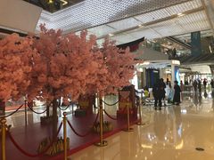 -万达广场(松江店)