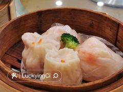-新成海港大酒楼(康华路店)